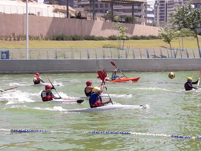 צילום: יח"צ