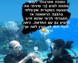 הצעת נישואין מתחת למים