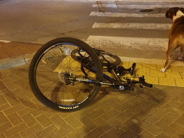 צילום: איחוד הצלה