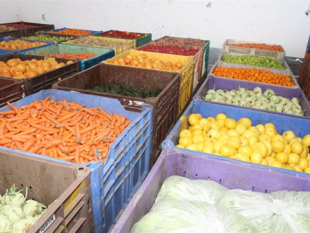 צילום: עמותת חסדי נעמי
