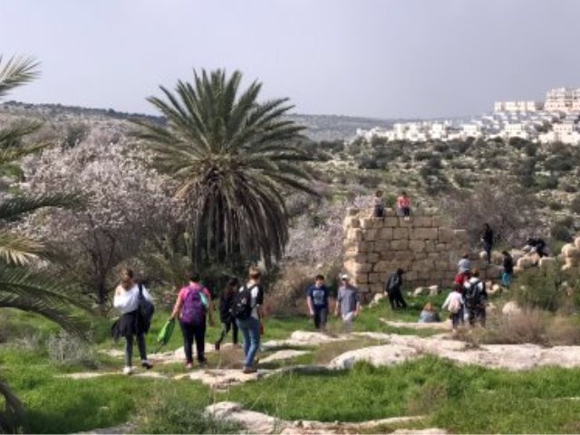 צילום: ירושלים נט