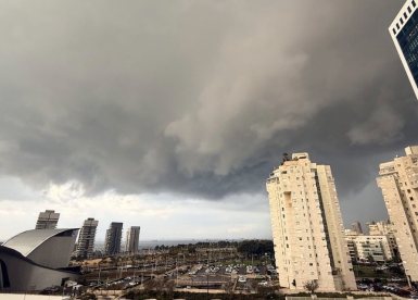 צילום: שמואל דוד 