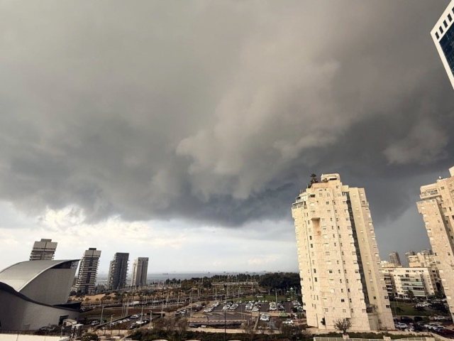 צילום: שמואל דוד 