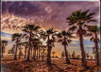 תמונת היום שלי. צילום אורי קריספין