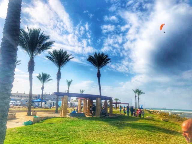 תמונת היום שלי. צילום אורי קריספין