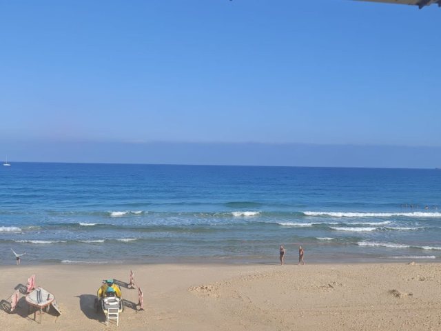 צילום גיא אוחיון