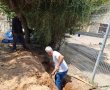 סוף למצוקה של שנים: המהפכה במגרשי הטניס ברובע ד' באשדוד