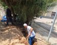 הפשילו שרוולים והעבודות החלו