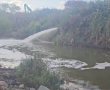 אלפי דגים ניצלו בנחל לכיש באשדוד: מבצע הצלה נמשך 48