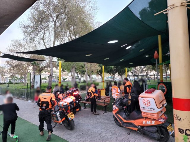 צילום: דוברות איחוד הצלה
