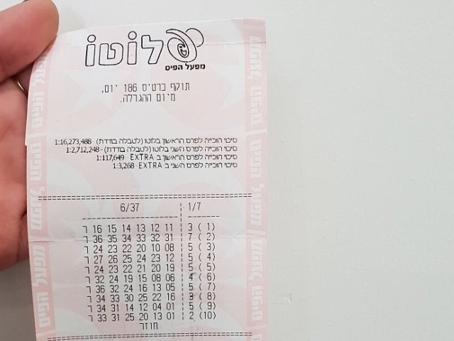הטופס הזוכה (צילום: אבי חיים)