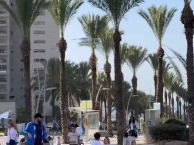 הפרחת עפיפונים באשדוד