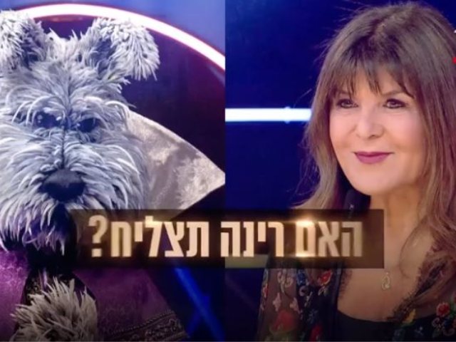 רינה מצליח - צילום מסך