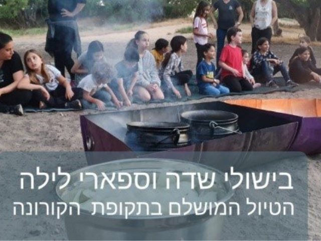 ספארי לילה