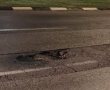 פעמיים בתוך שבוע: תושב אשדוד תובע את העירייה לאחר ששני צמיגים התפוצצו עקב בורות בשדרות בני-ברית