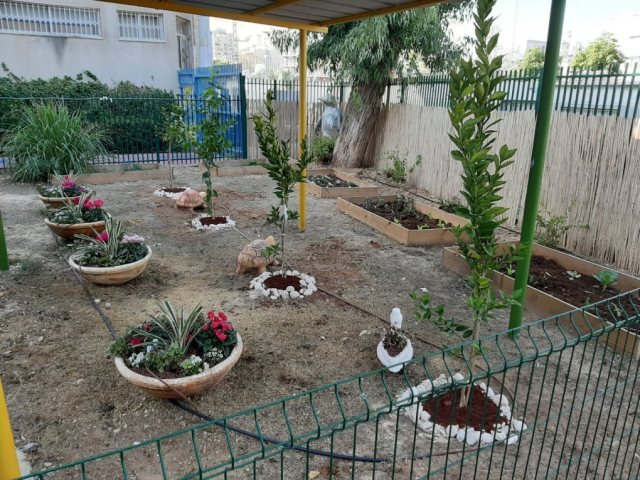 מעון סיגליות באשדוד