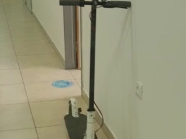 צילום: דוברות המשטרה