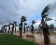העירייה נערכת לרוחות עזות: משבים של עד 80 קמ”ש מהיום ועד חמישי