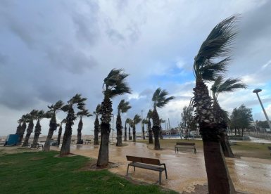 צילום אורי קריספין