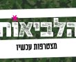 "הלביאות" חושפות את הרעיון וקוראות לנשות העיר להצטרף אליהן