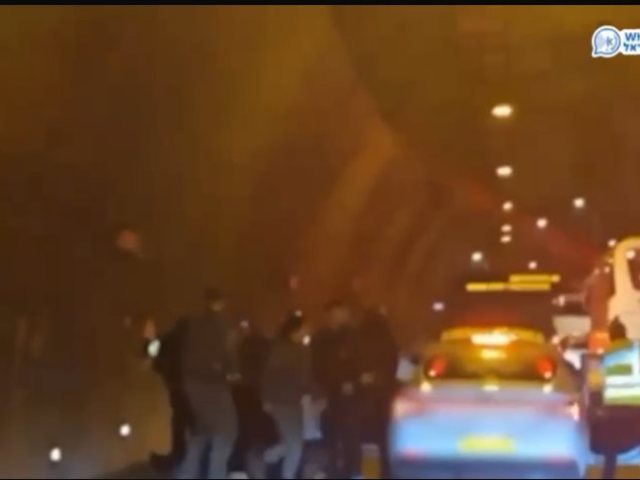 צילום: דוברות המשטרה