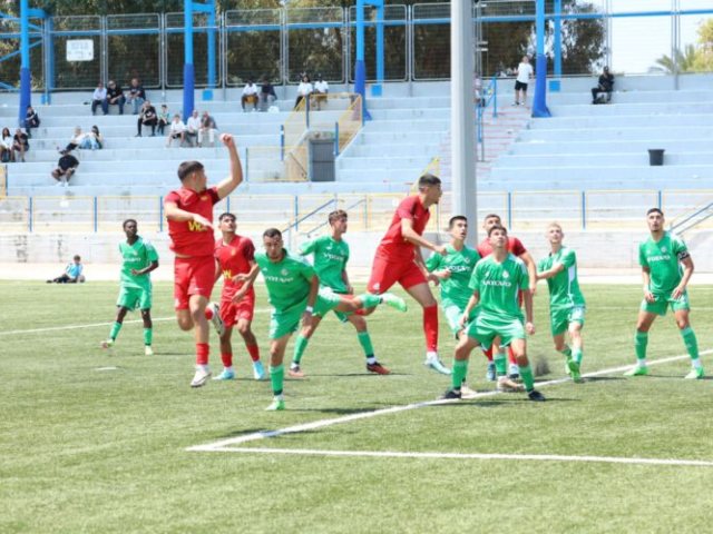 צילום: טוטו פוטו