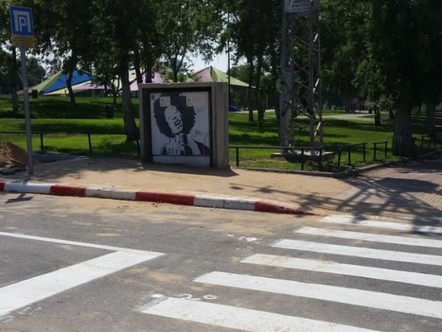 קרדיט: עמותת אור ירוק