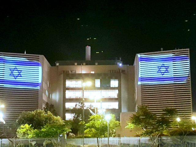 צילום: עופר אשטוקר