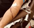 מחסור חמור בדם בישראל - במד״א הצלה דרום יקיימו התרמת דם מיוחדת