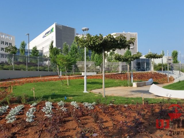 בית החולים אסותא אשדוד (צילום: עופר אשטוקר אשדוד נט)