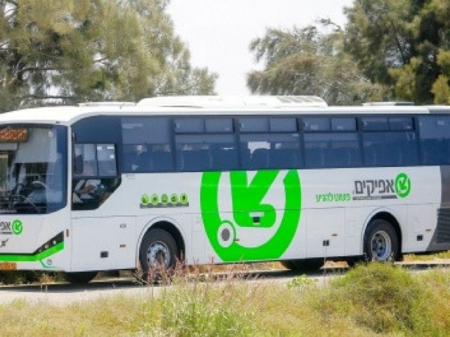 חברת אפיקים