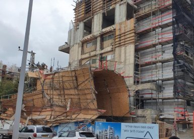 צילום: משולם ויזל