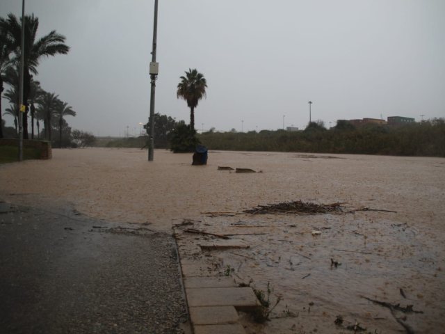 צילום: שמואל סרדינס, אשדוד נט