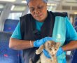 חתול שנתקע בקרון רכבת חולץ על ידי עובדת הניקיון בתחנת אשדוד