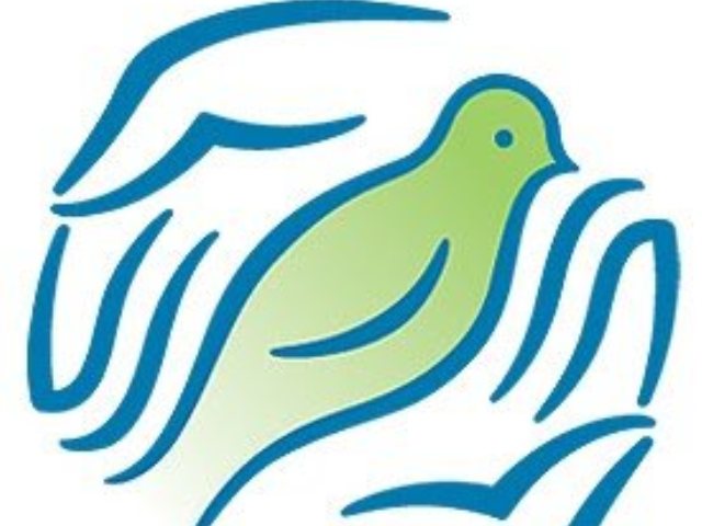 צילום: יח"צ