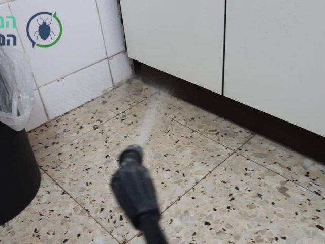 המדביר המוסמך