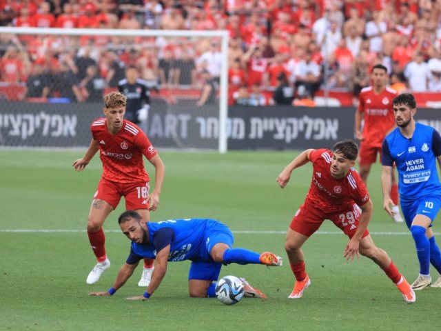 צילום: טל אקוקה