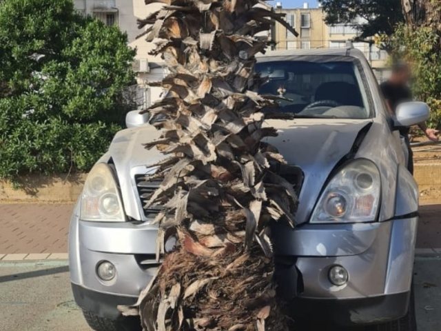 צילום: דוברות איחוד הצלה