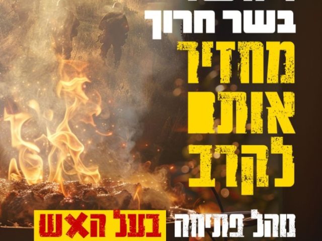 צילום: עיריית אשדוד