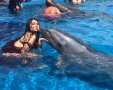 נשיקה צרפתית לדולפין. צילום פרטי