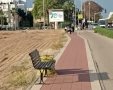 צילום: עיריית אשדוד
