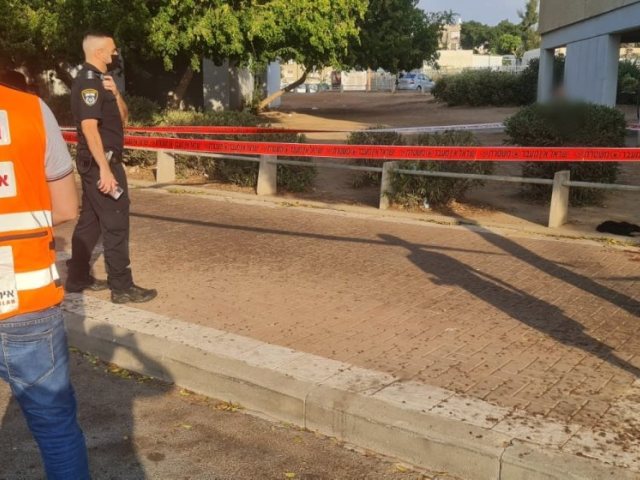 זירת האירוע (צילום: דוברות איחוד הצלה)