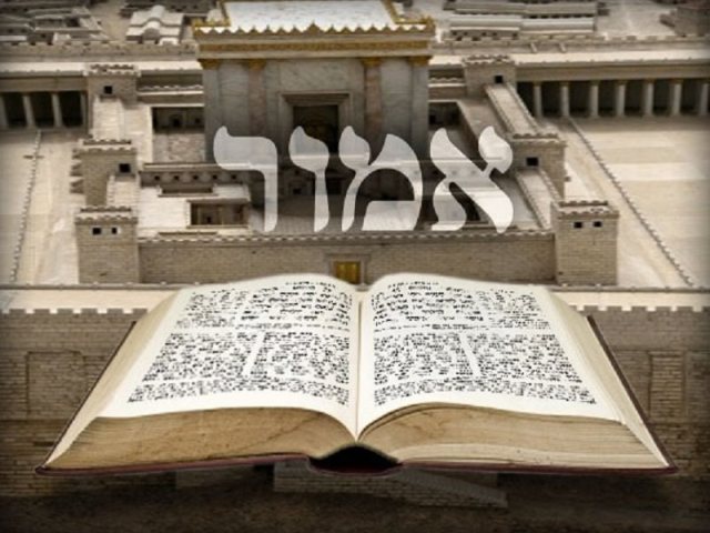 פרשת אמור
