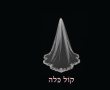 תערוכת אופנה חדשה באשדוד מציגה את סיפורה של "שמלת הכלה"