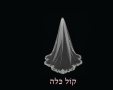 תערוכה קול כלה
