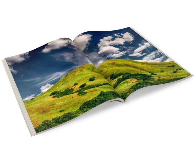 Pixabay