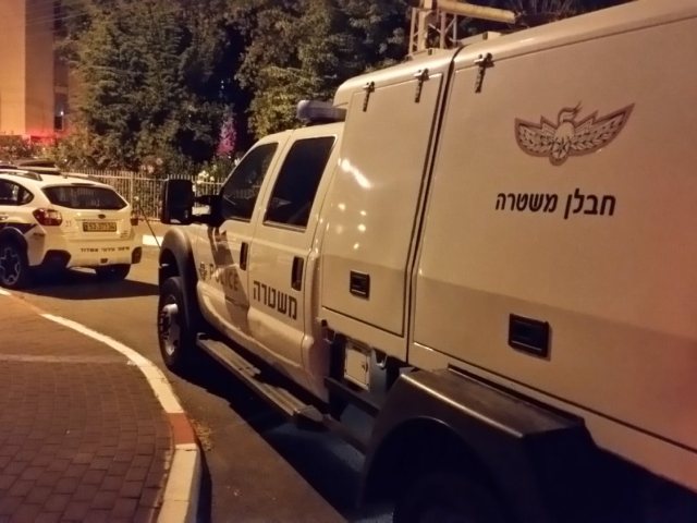 צילום: עופר אשטוקר
