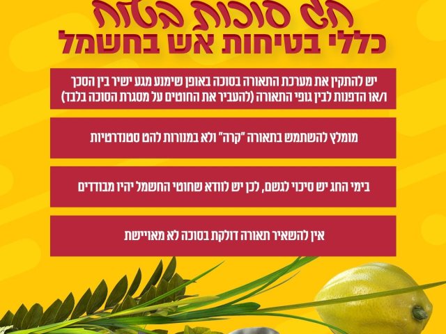 צילום: דוברות מד"א
