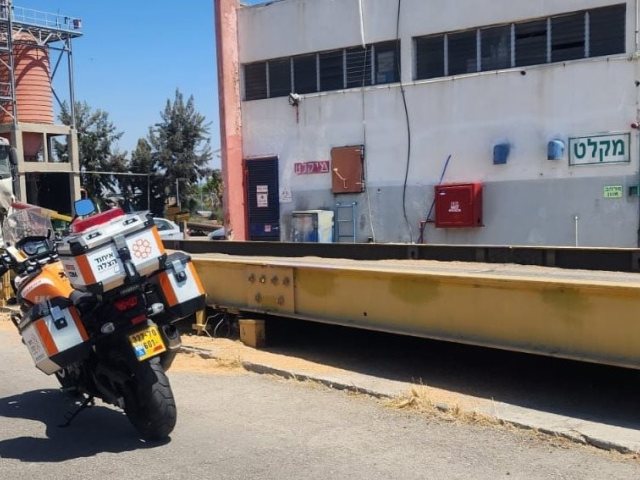 צילום: דוברות איחוד הצלה