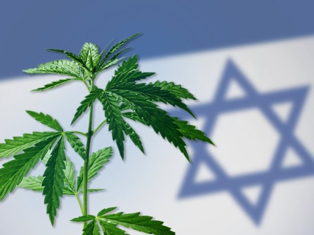 קנאביס רפואי
